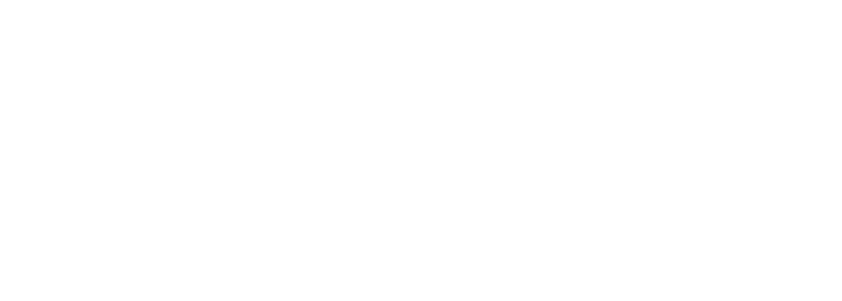 Details Consulting